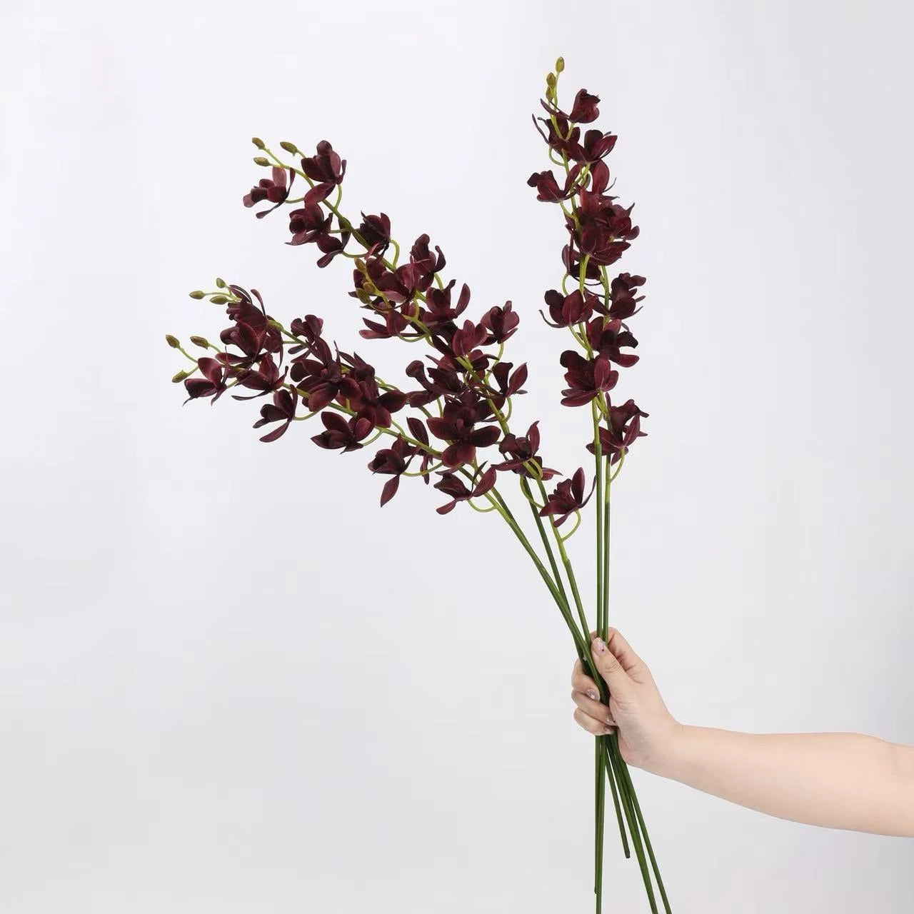 Real Touch Artificial Cymbidium Orchid Stem – 73cm