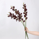 Real Touch Artificial Cymbidium Orchid Stem – 73cm