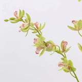 Real Touch Artificial Cymbidium Orchid Stem – 73cm