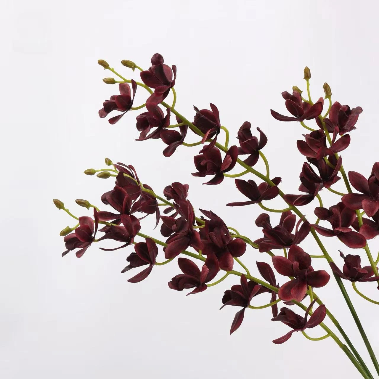 Real Touch Artificial Cymbidium Orchid Stem – 73cm
