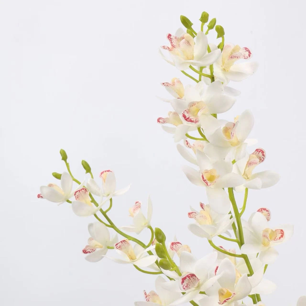 Real Touch Artificial Cymbidium Orchid Stem – 73cm