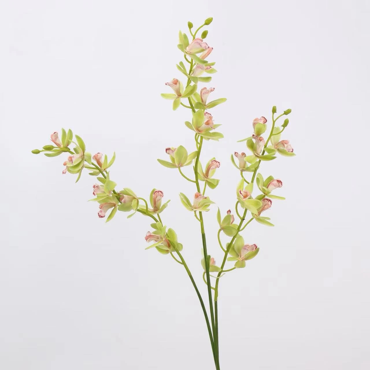 Real Touch Artificial Cymbidium Orchid Stem – 73cm