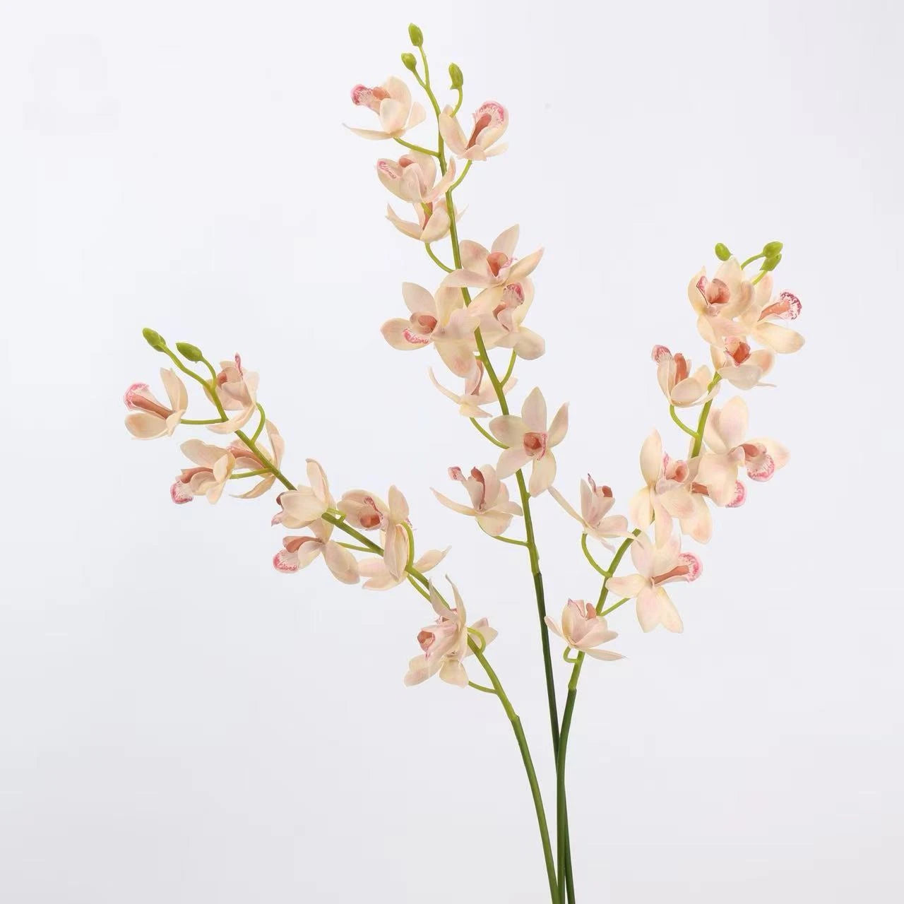 Real Touch Artificial Cymbidium Orchid Stem – 73cm