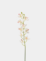 Real Touch Artificial Cymbidium Orchid Stem – 73cm