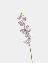 Real Touch Artificial Cymbidium Orchid Stem – 73cm