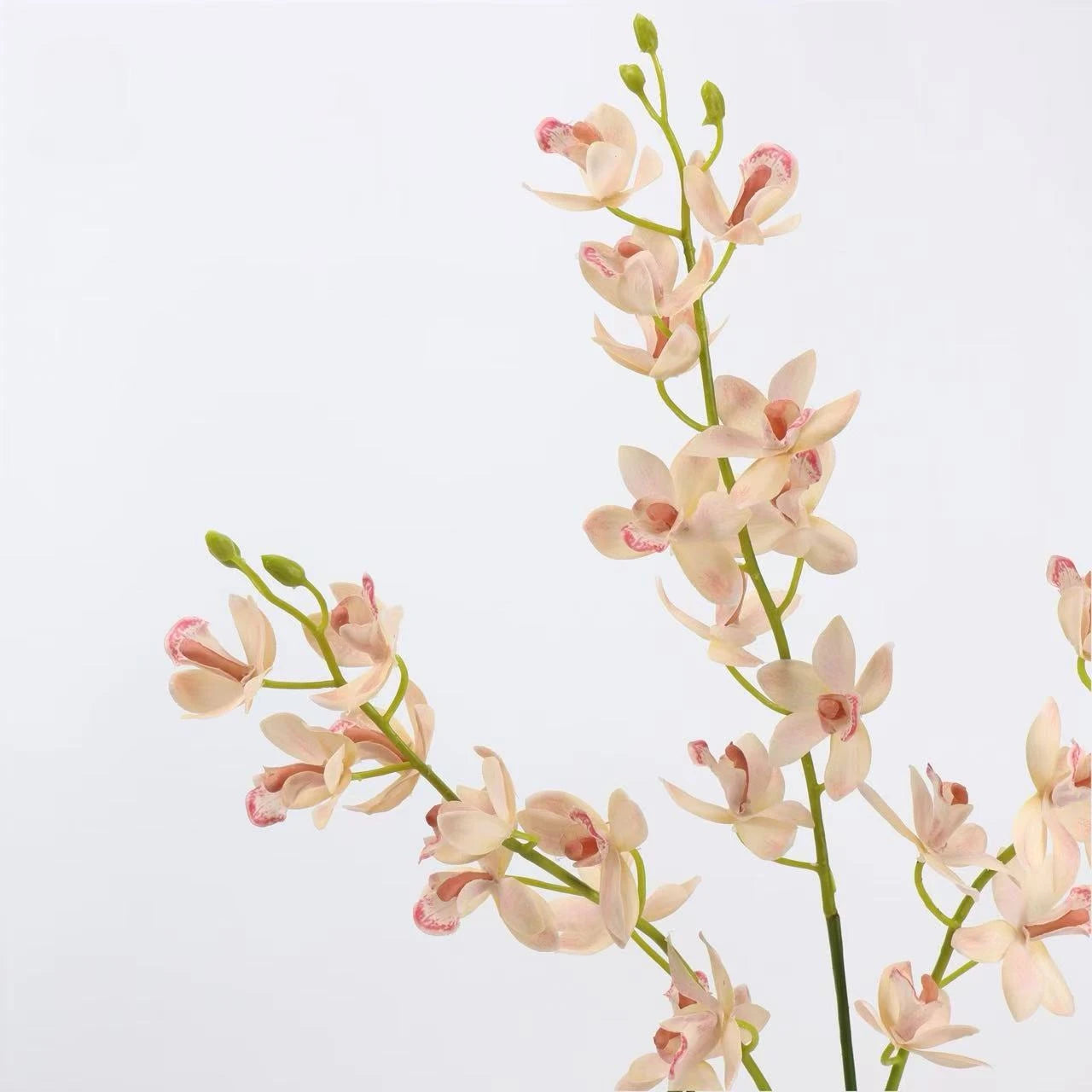 Real Touch Artificial Cymbidium Orchid Stem – 73cm