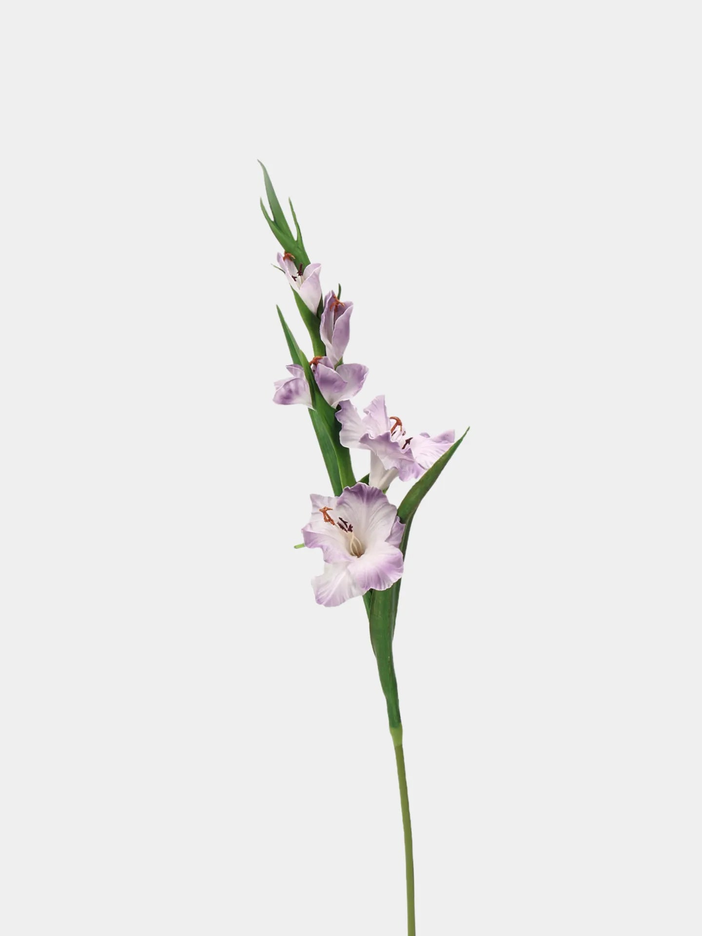Real Touch Artificial Gladiolus Flowers – Lavender