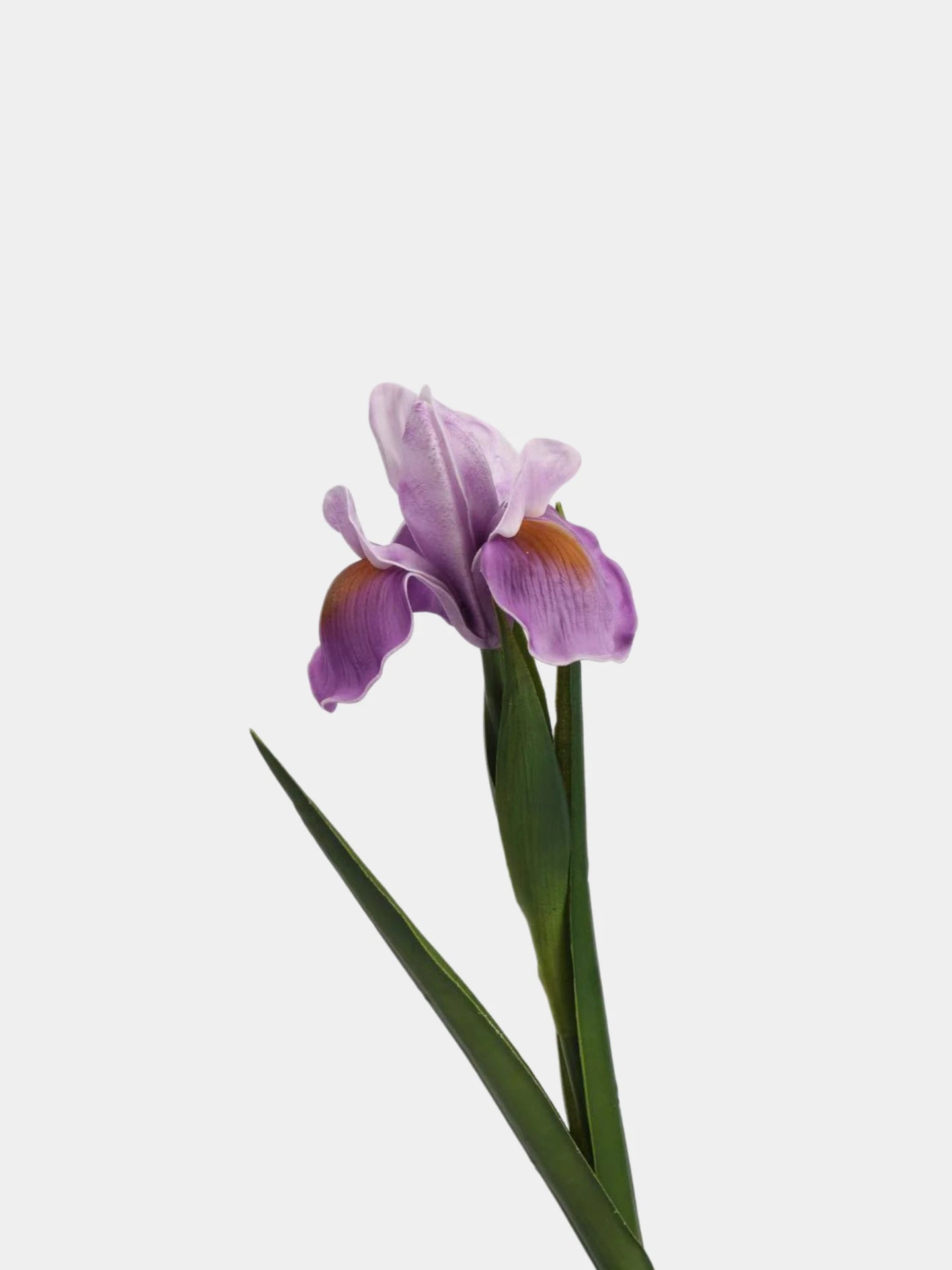 Real Touch Artificial Iris Flower Stem with Leaves – 60cm