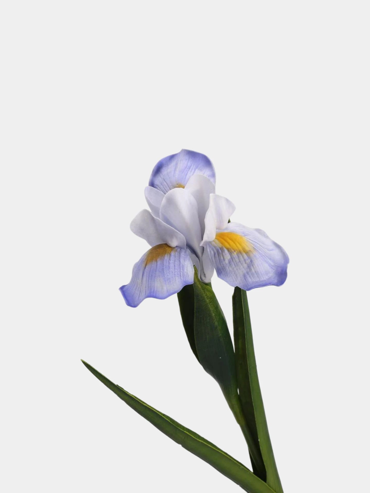 Real Touch Artificial Iris Flower Stem with Leaves – 60cm