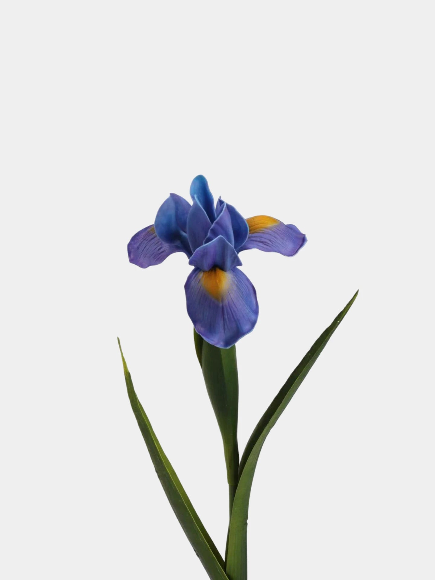 Real Touch Artificial Iris Flower Stem with Leaves – 60cm