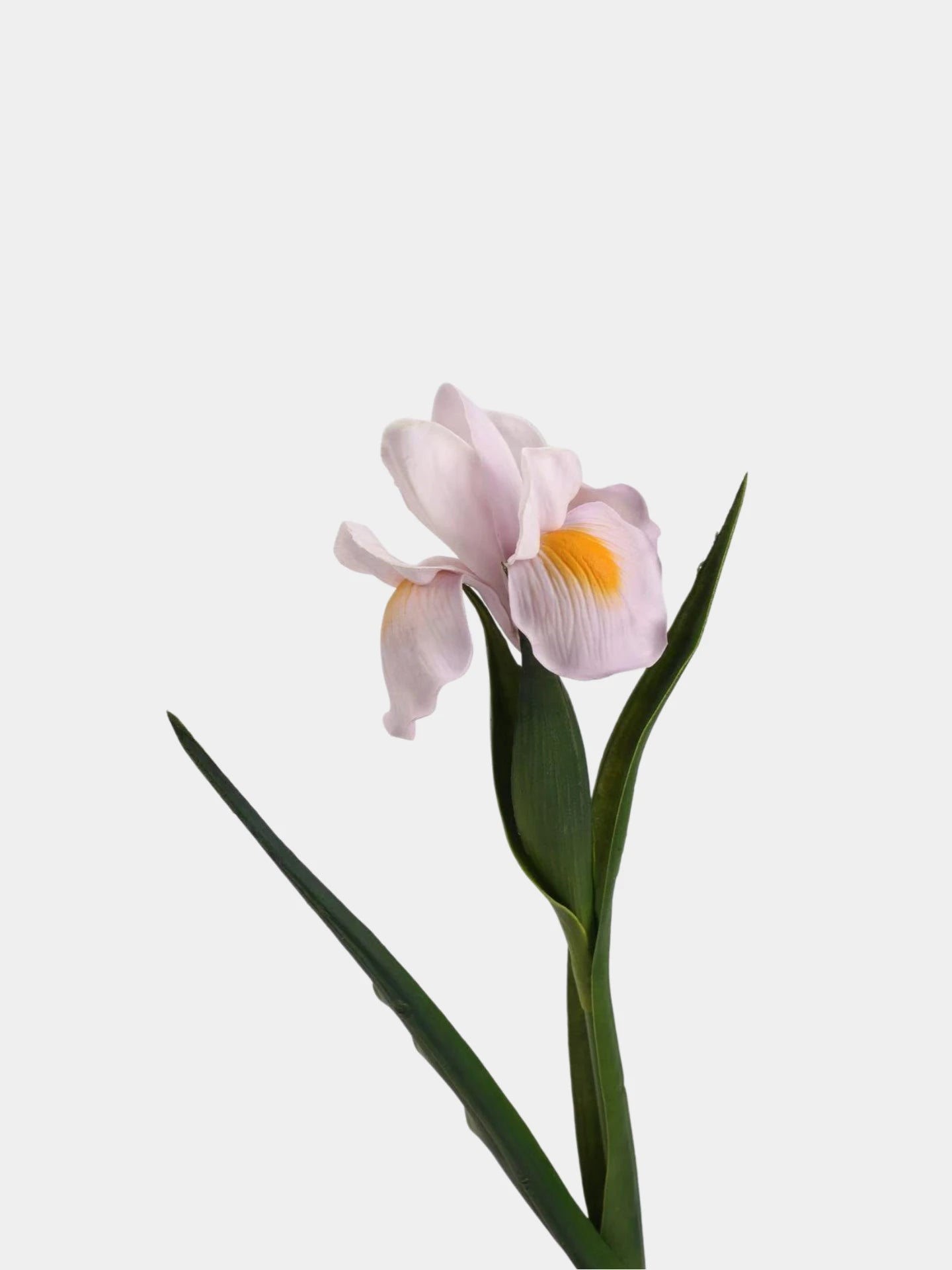 Real Touch Artificial Iris Flower Stem with Leaves – 60cm