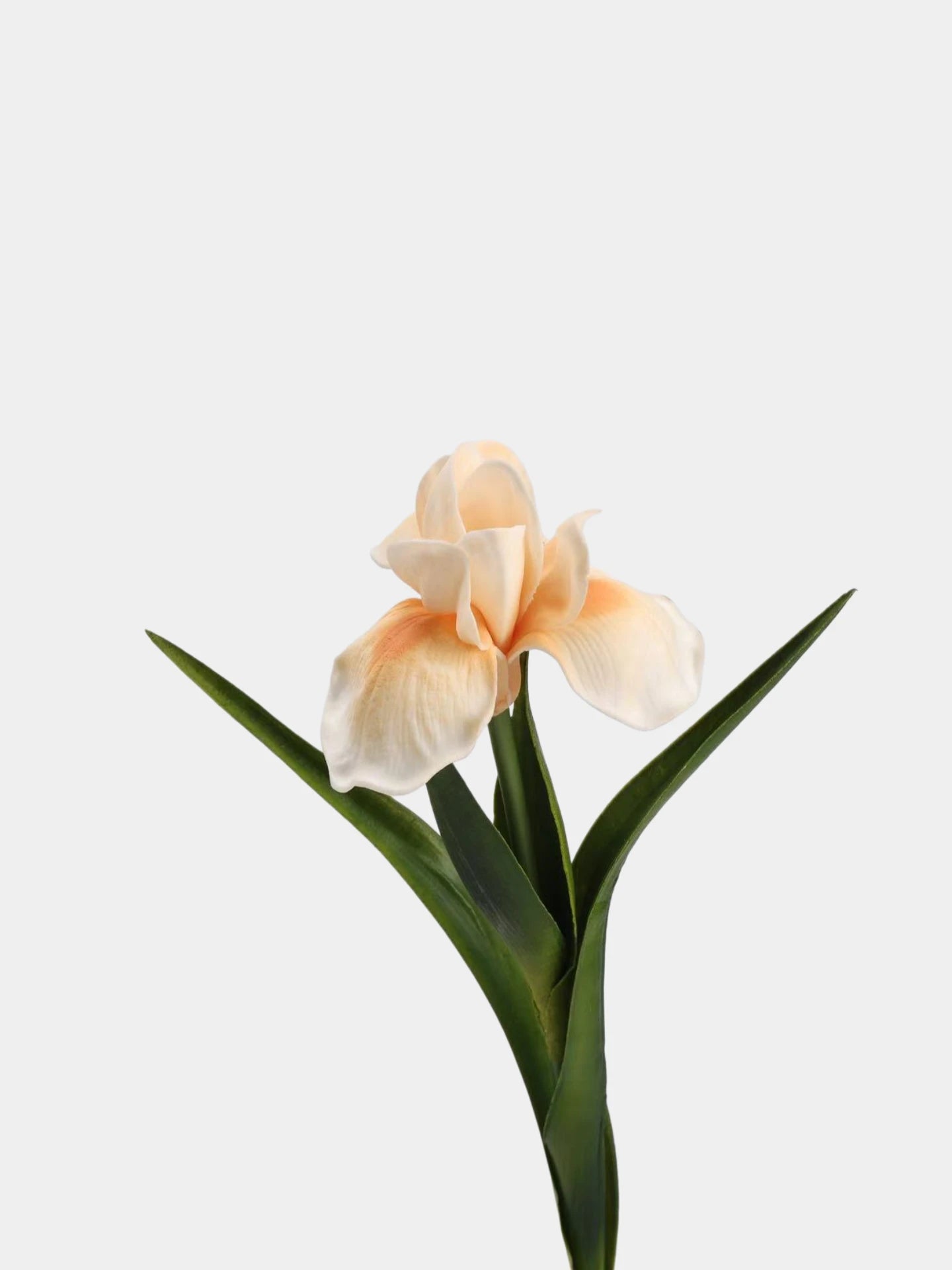 Real Touch Artificial Iris Flower Stem with Leaves – 60cm
