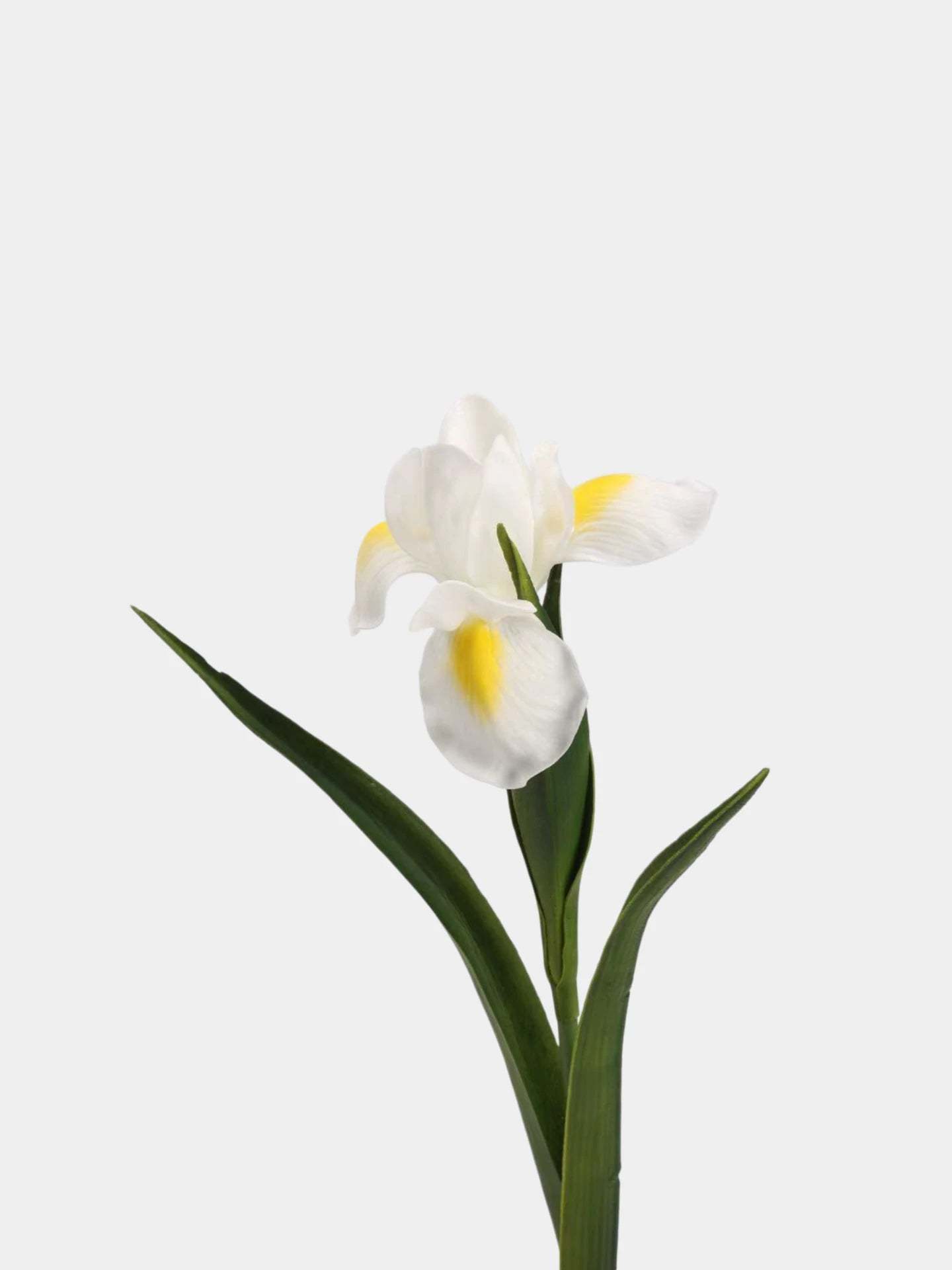 Real Touch Artificial Iris Flower Stem with Leaves – 60cm