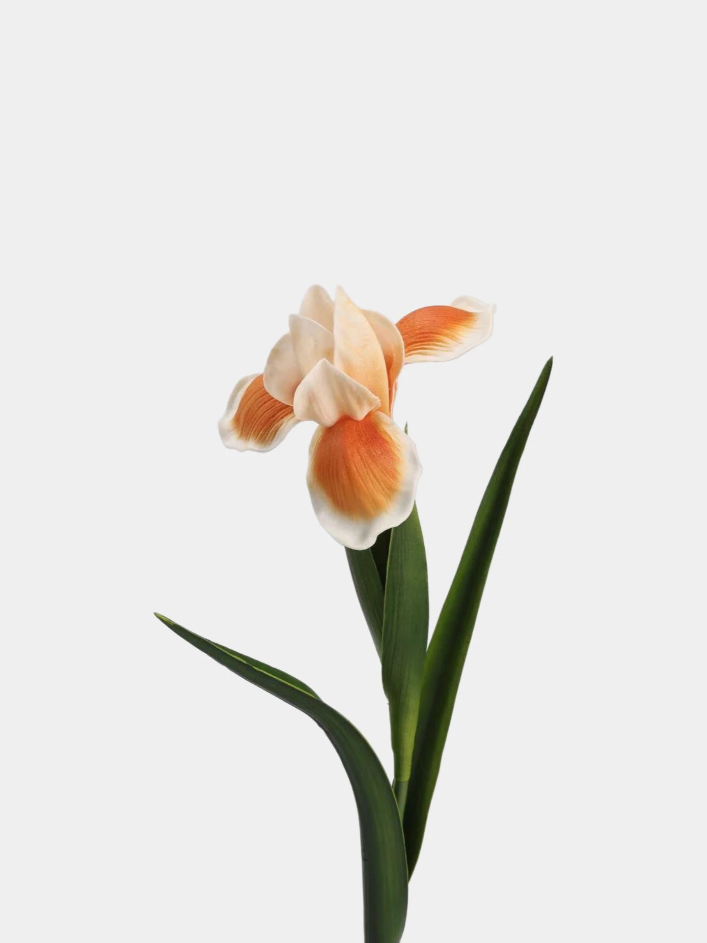 Real Touch Artificial Iris Flower Stem with Leaves – 60cm