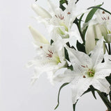 リアルタッチ人工ユリステム