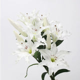 リアルタッチ人工ユリステム