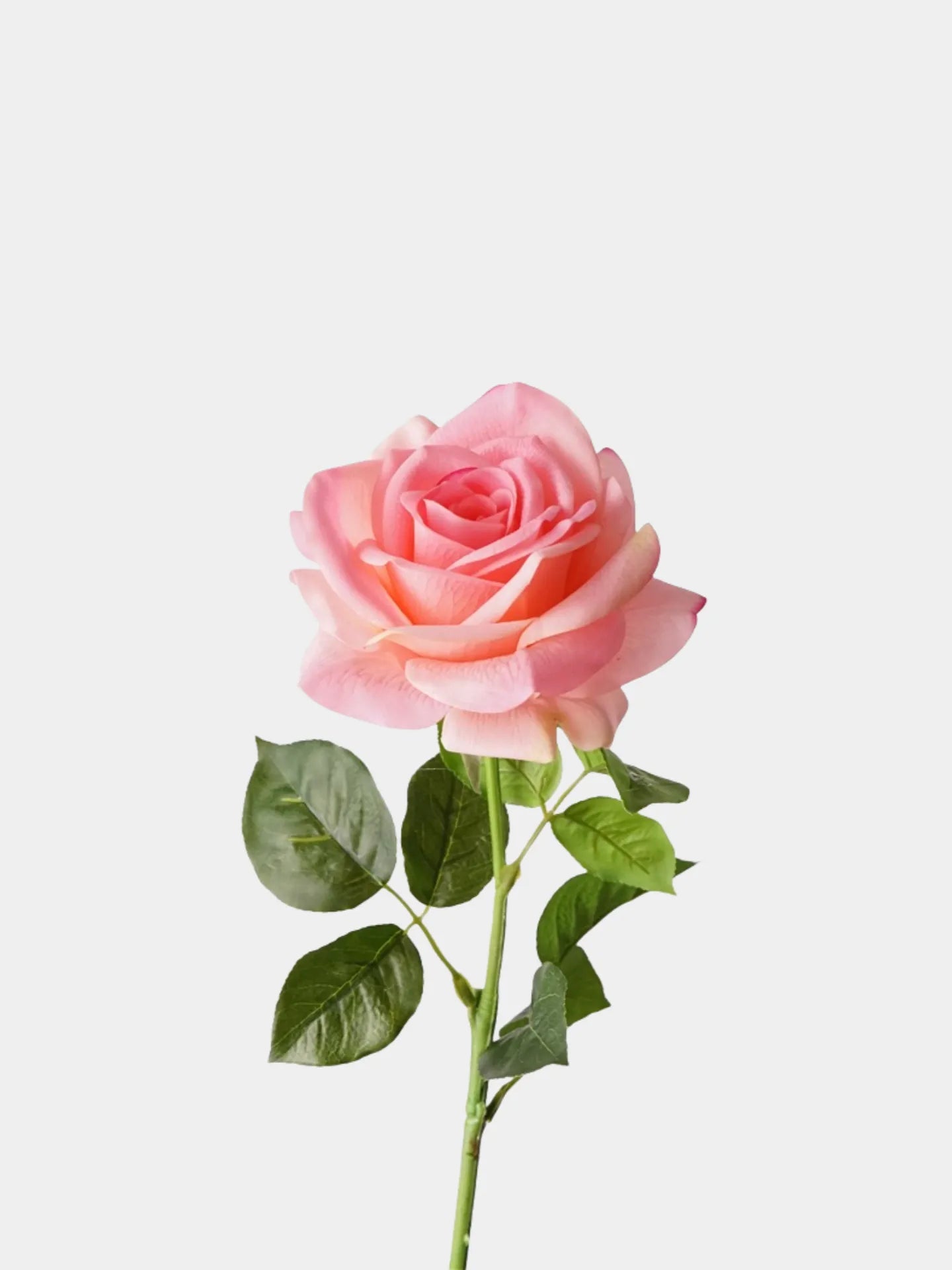 Real Touch Artificial Ocean Song Rose