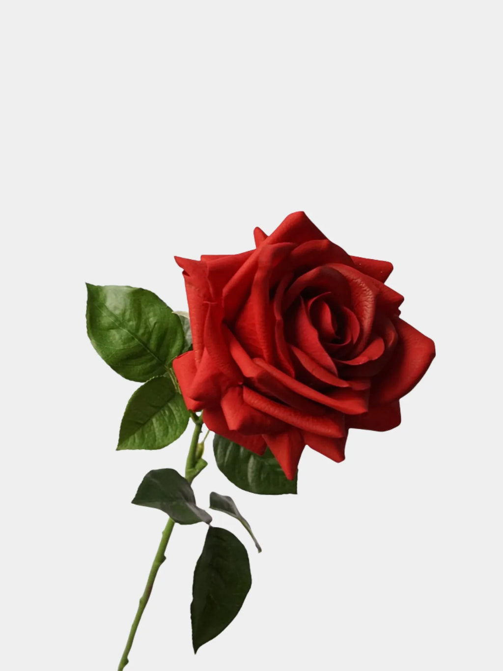 Real Touch Artificial Ocean Song Rose