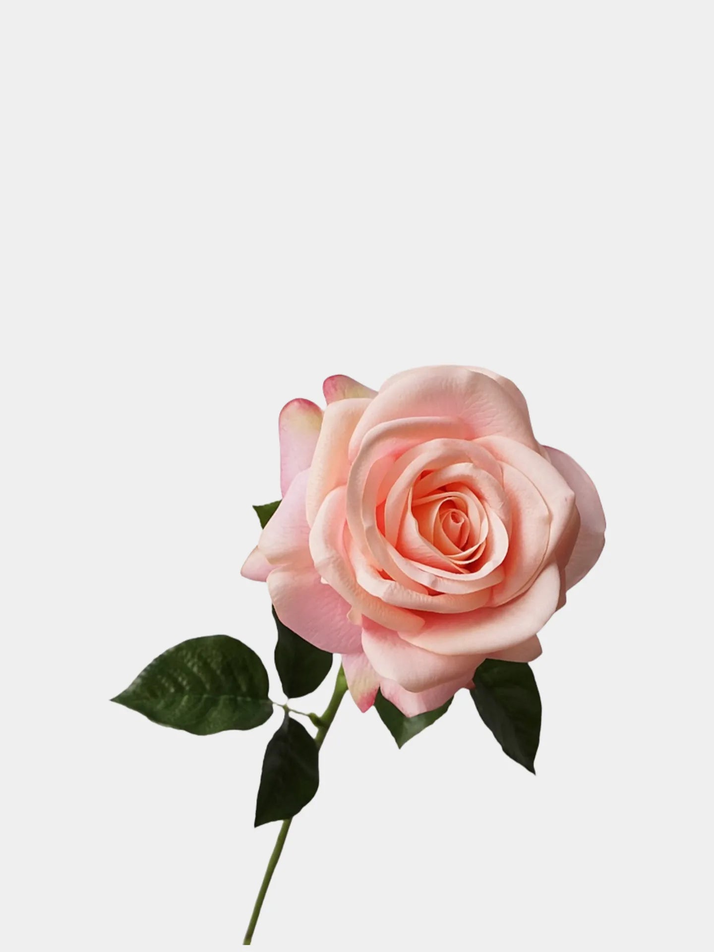Real Touch Artificial Ocean Song Rose