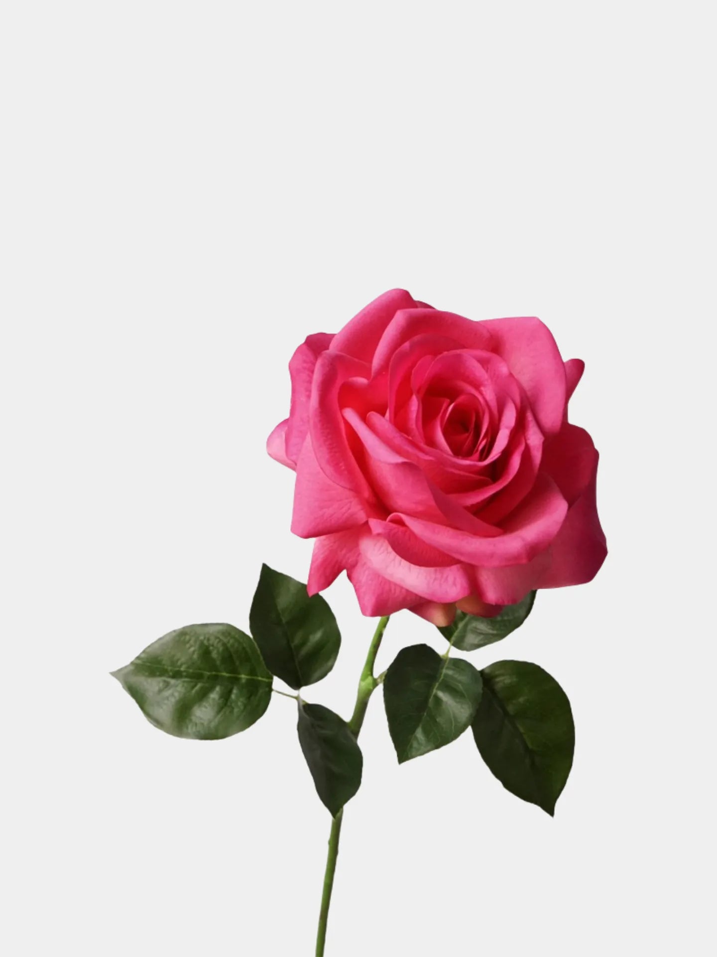 Real Touch Artificial Ocean Song Rose