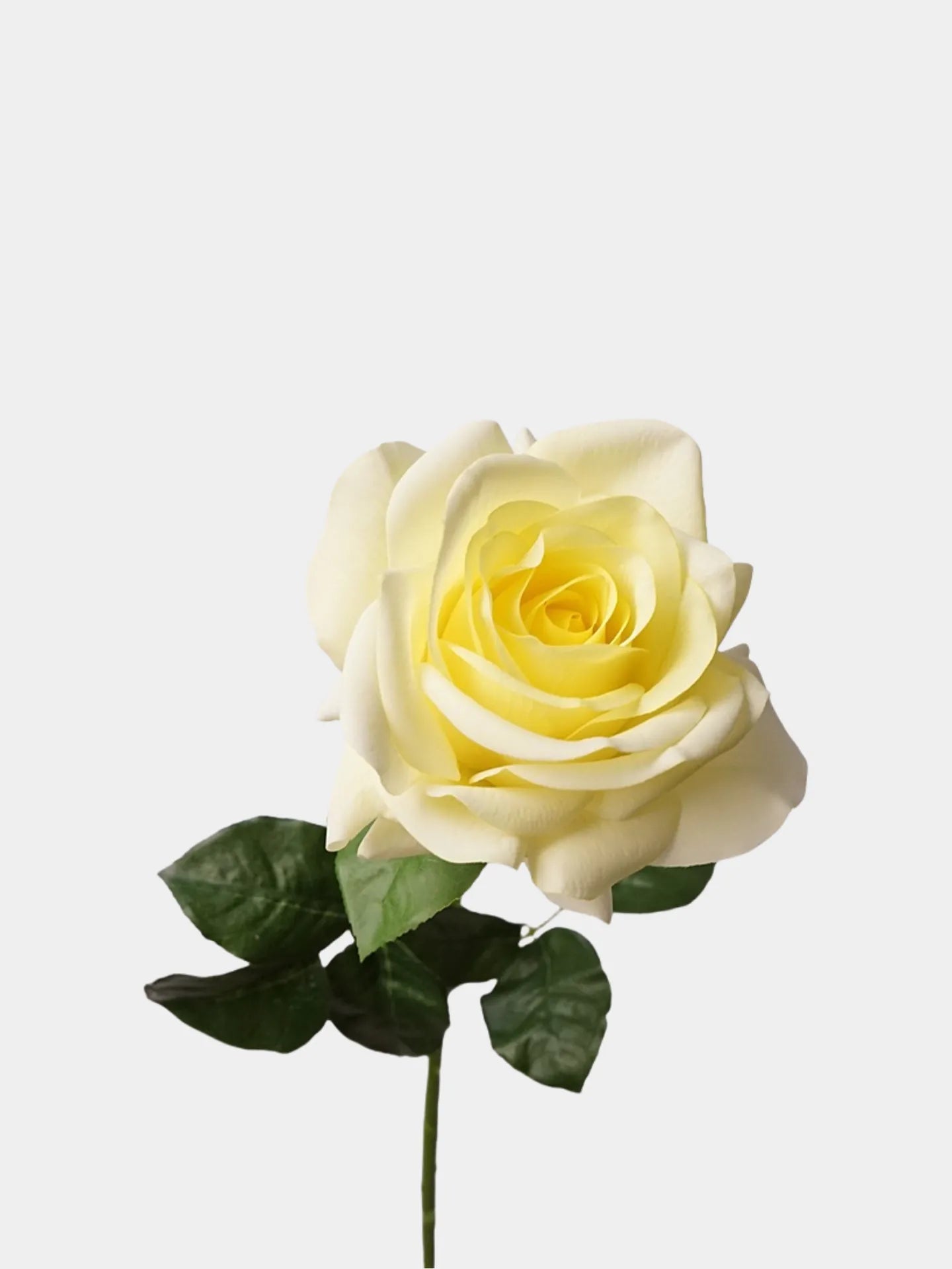 Real Touch Artificial Ocean Song Rose