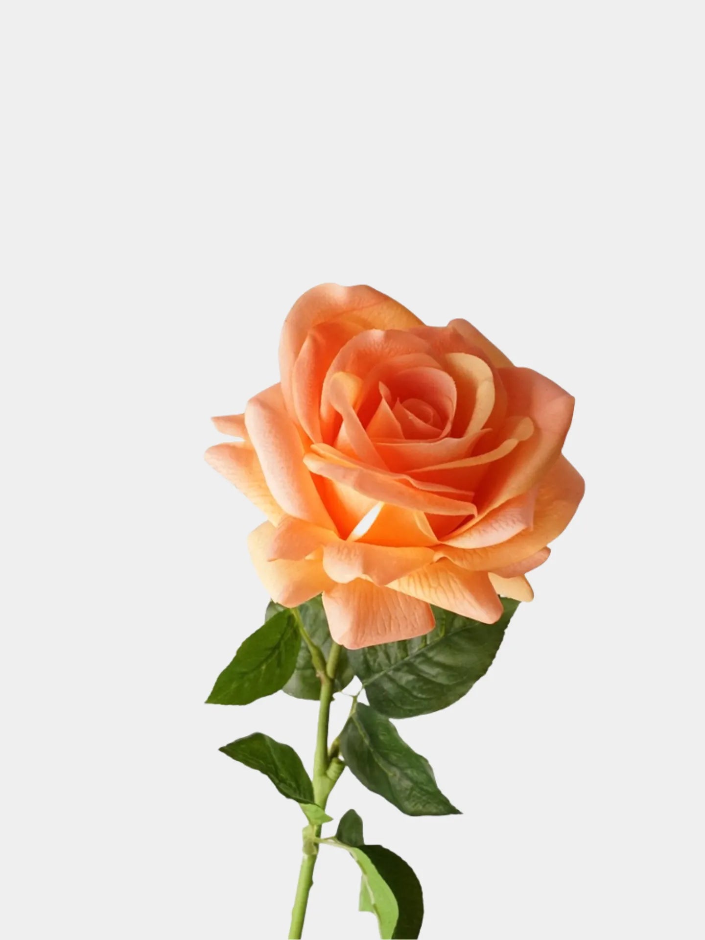 Real Touch Artificial Ocean Song Rose