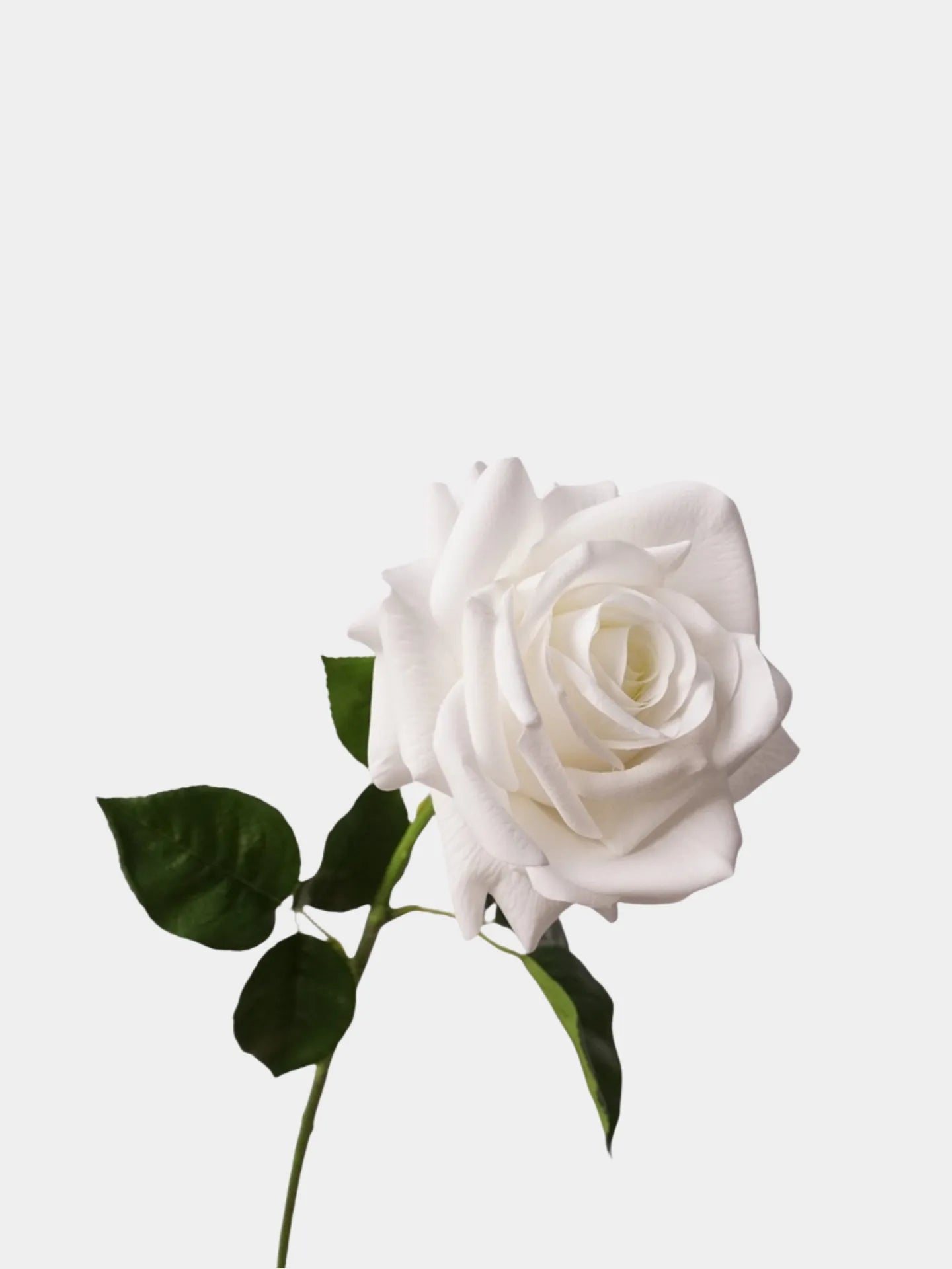 Real Touch Artificial Ocean Song Rose