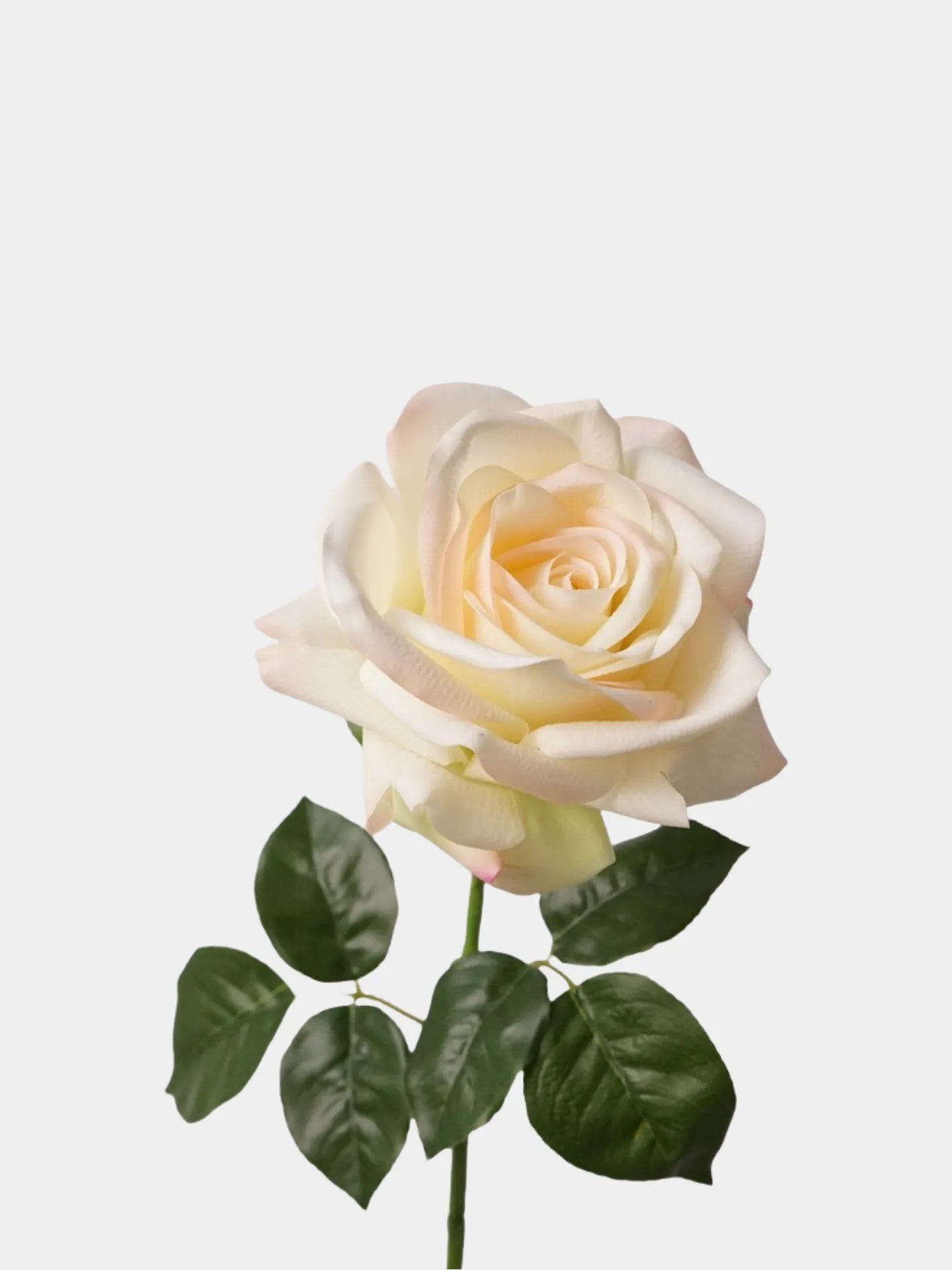 Real Touch Artificial Ocean Song Rose