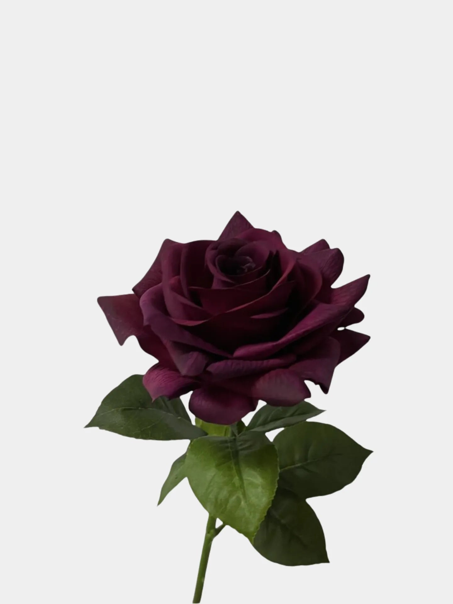 Real Touch Artificial Purple Rose