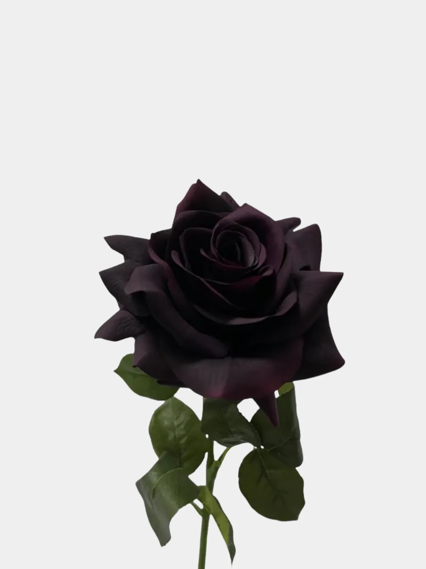 Real Touch Artificial Purple Rose