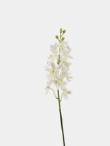 Real Touch Ascocenda Orchid Stem