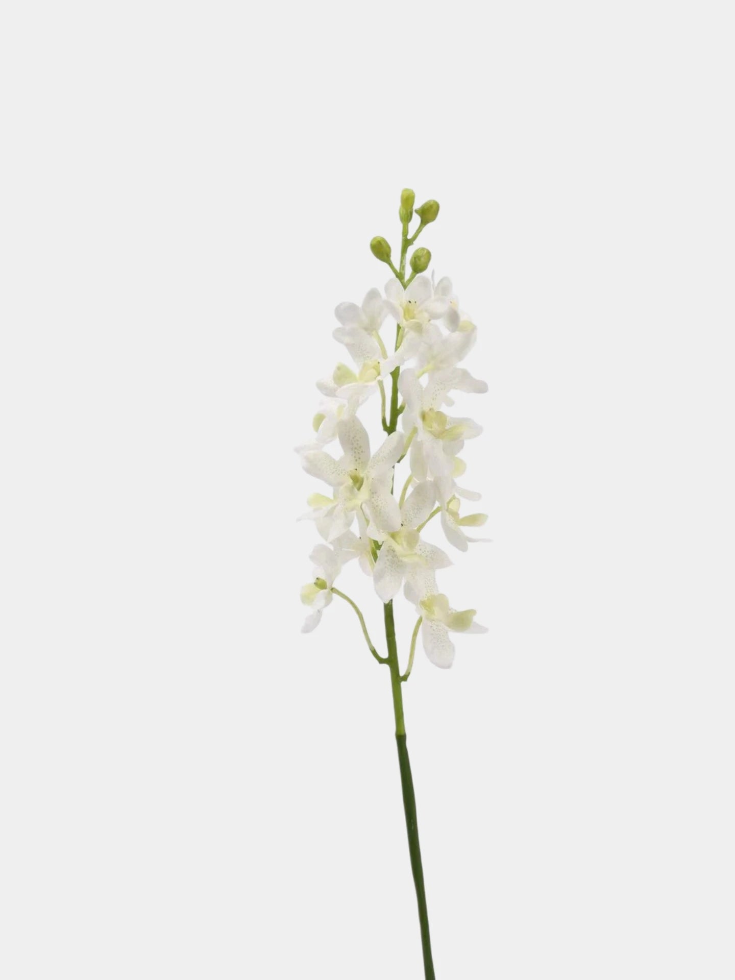 Real Touch Ascocenda Orchid Stem