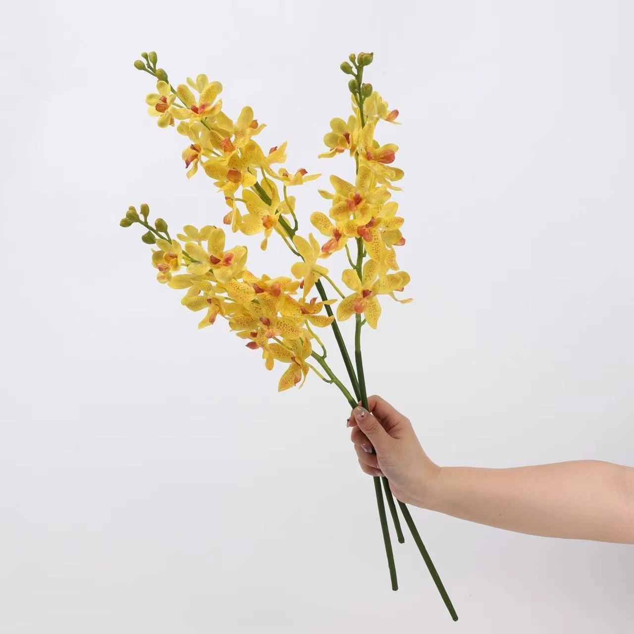 Real Touch Ascocenda Orchid Stem