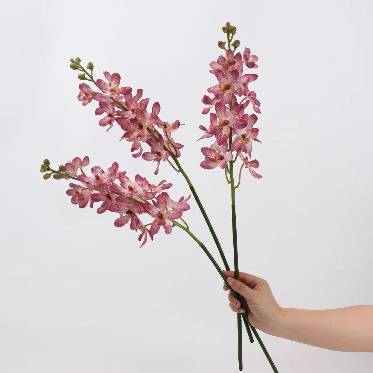 Real Touch Ascocenda Orchid Stem
