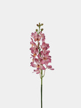 Real Touch Ascocenda Orchid Stem