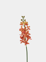 Real Touch Ascocenda Orchid Stem