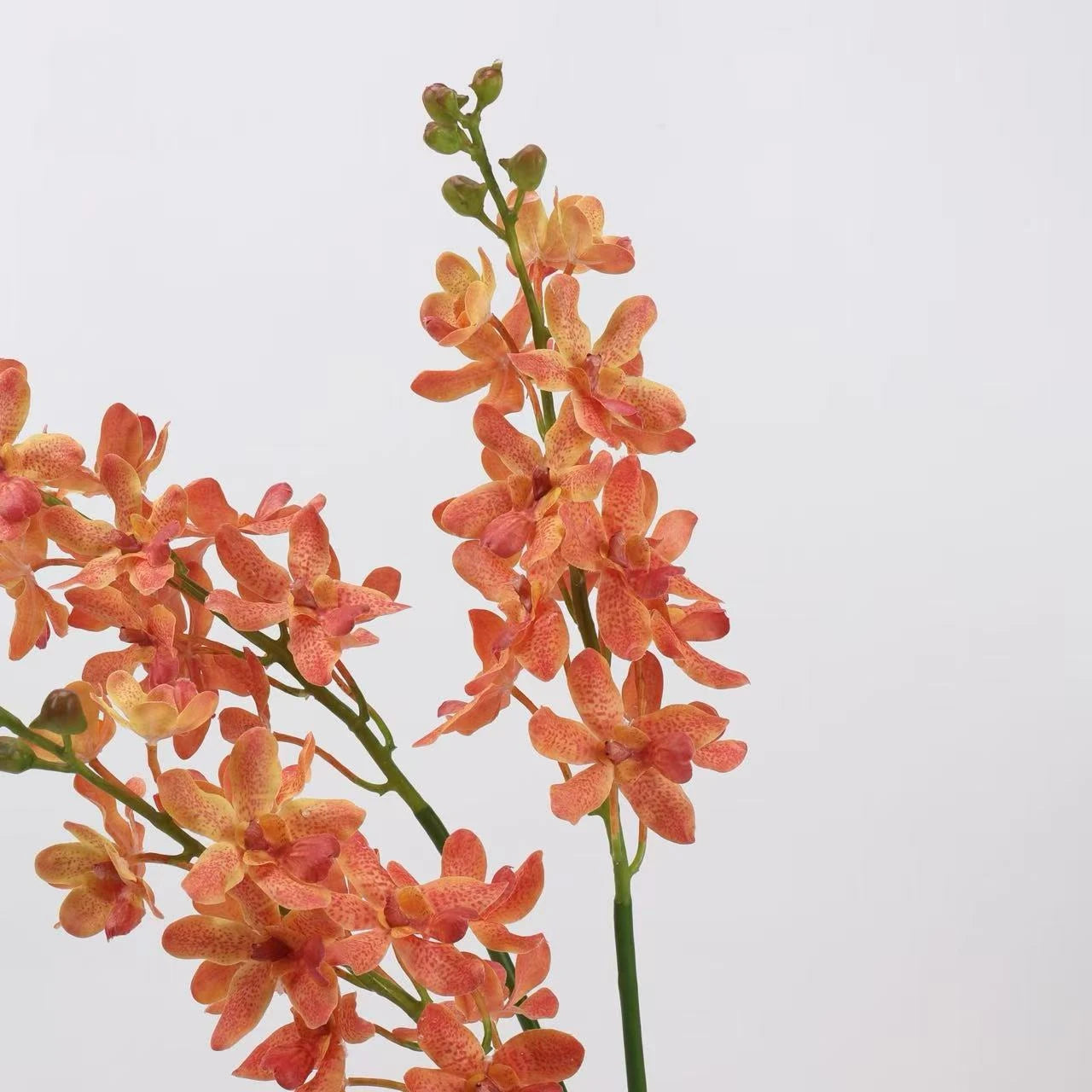 Real Touch Ascocenda Orchid Stem