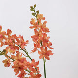 Real Touch Ascocenda Orchid Stem