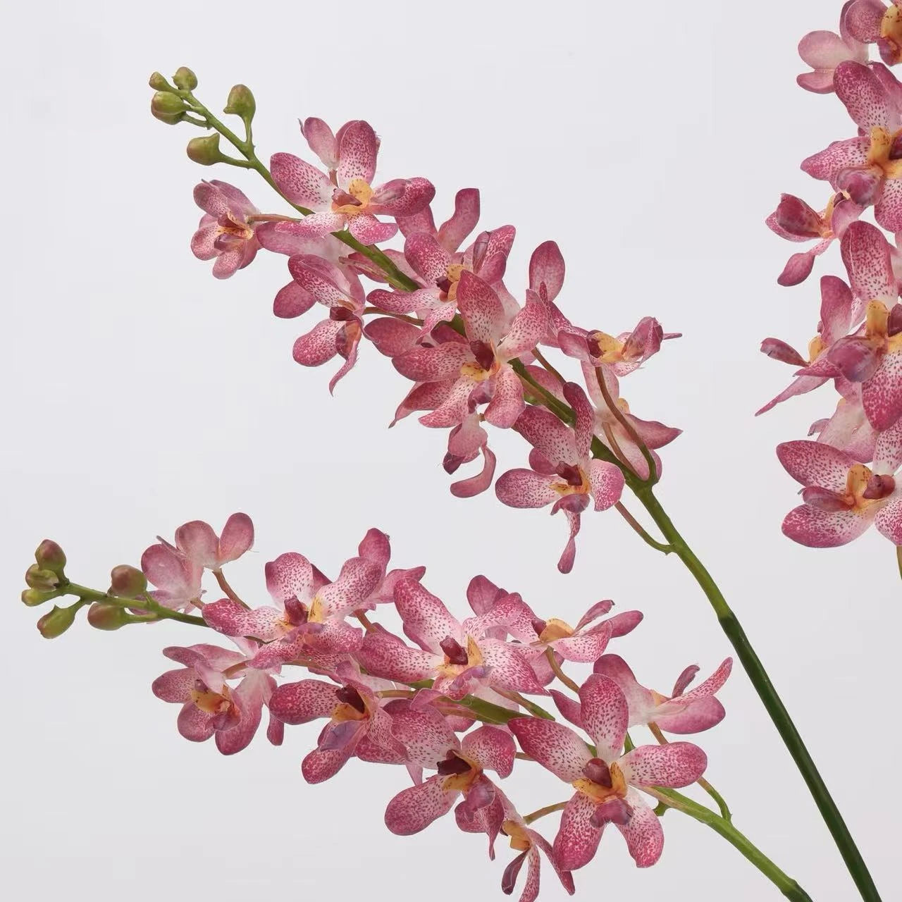 Real Touch Ascocenda Orchid Stem