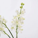 Real Touch Ascocenda Orchid Stem