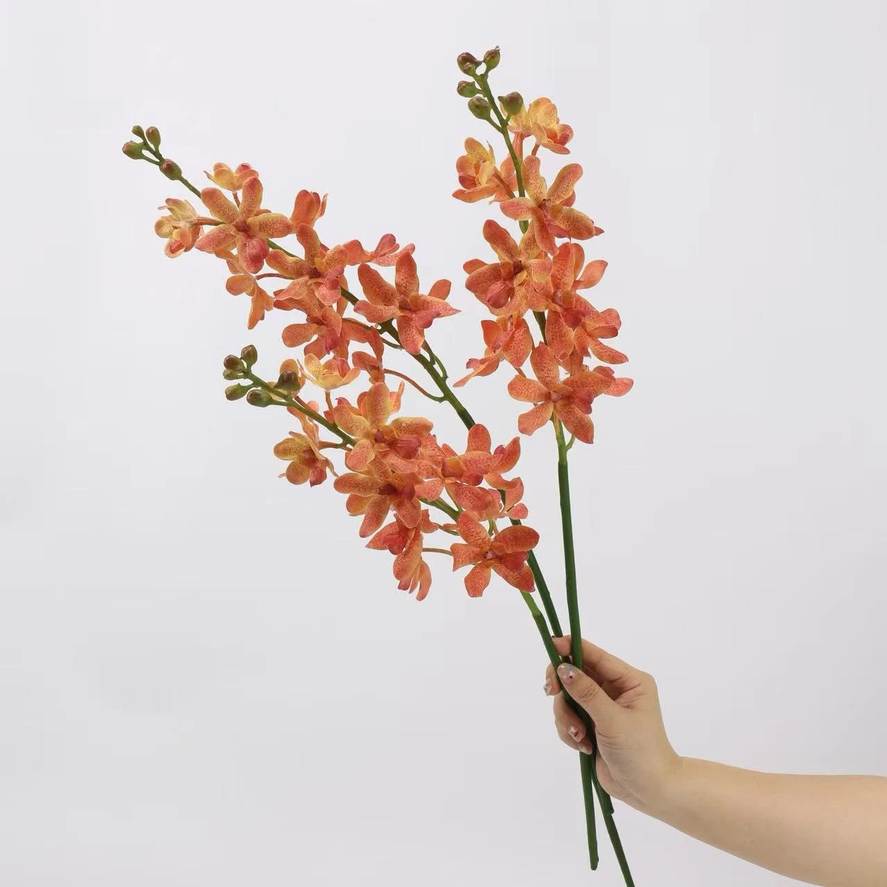 Real Touch Ascocenda Orchid Stem