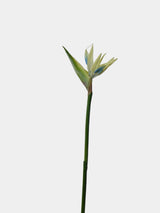 Real Touch Bird of Paradise Flower Stem – 32"/82cm