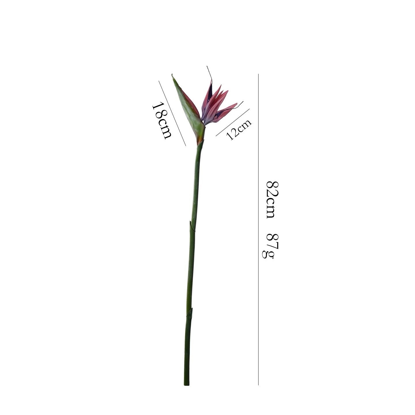 Real Touch Bird of Paradise Flower Stem – 32"/82cm