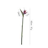 Real Touch Bird of Paradise Flower Stem – 32"/82cm