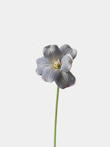 Real Touch Brownie Tulpenstiel – 50 cm