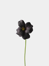 Real Touch Brownie Tulpenstiel – 50 cm