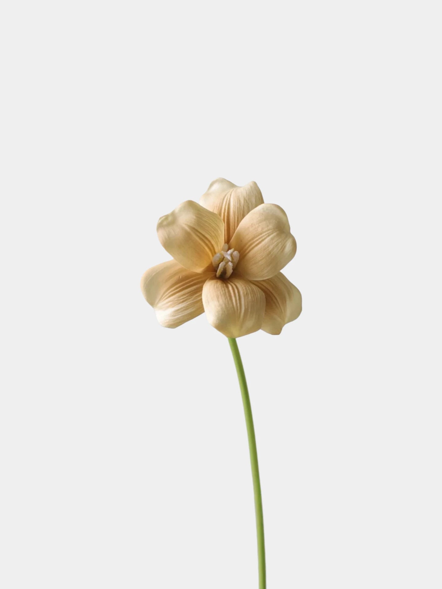 Real Touch Brownie Tulpenstiel – 50 cm