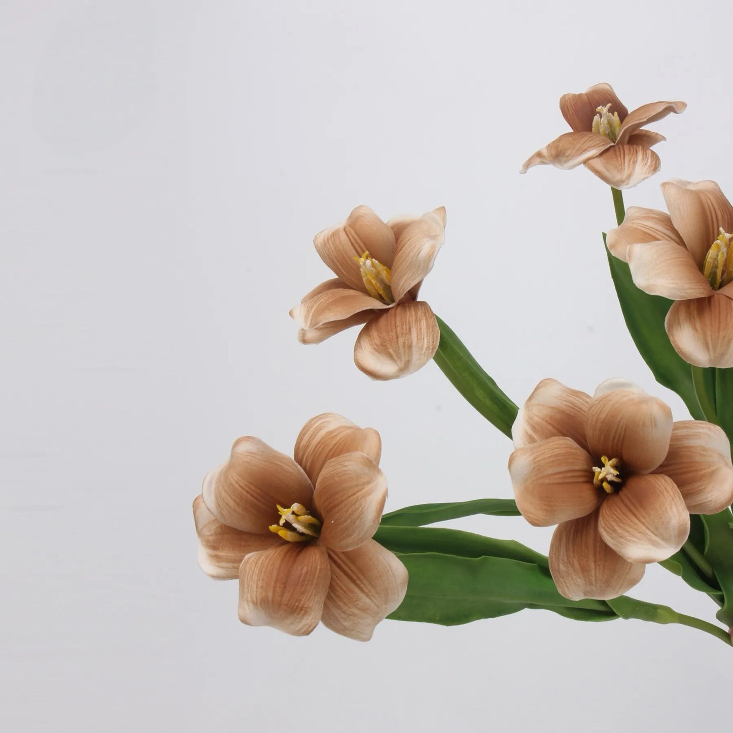 Real Touch Brownie Tulpenstiel – Braun – 48 cm