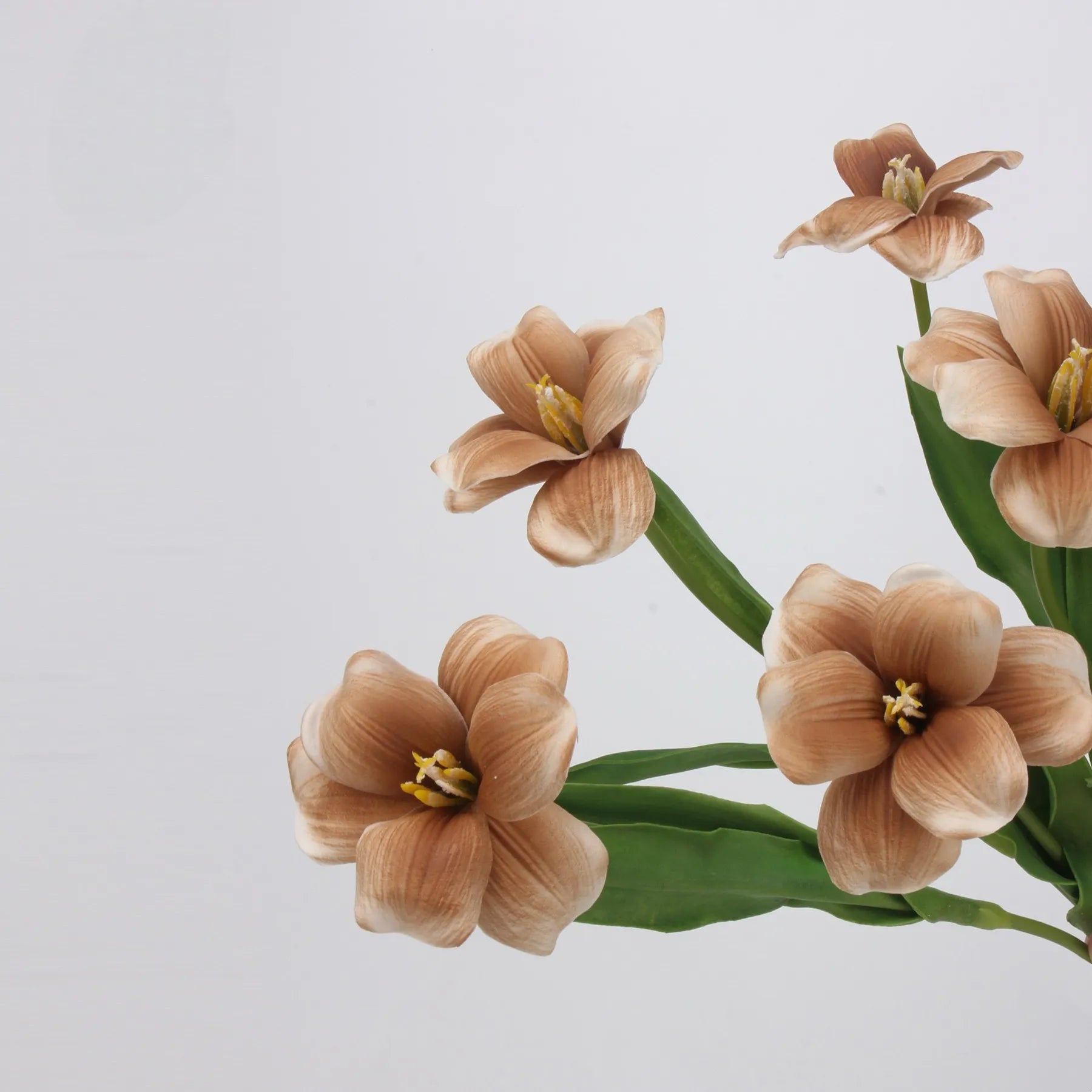 Real Touch Brownie Tulpenstiel – Braun – 48 cm