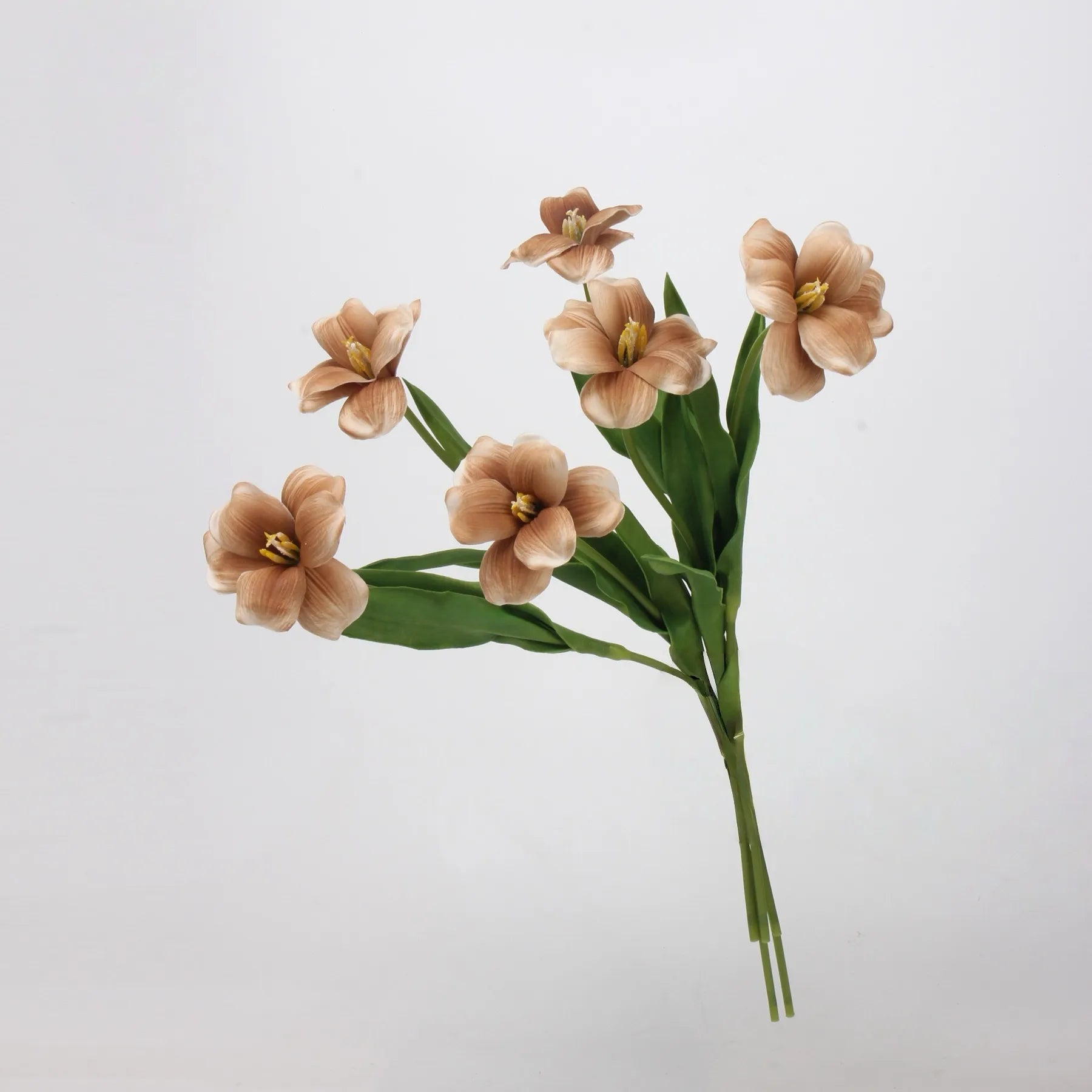 Real Touch Brownie Tulpenstiel – Braun – 48 cm